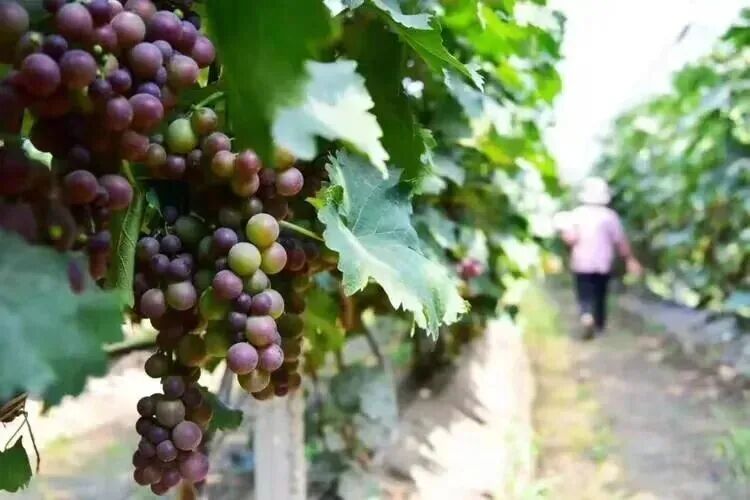 3a4bb062ec8dfd7c95c0fa5a341fcd2f.jpg 3a4bb062ec8dfd7c95c0fa5a341fcd2f.jpg